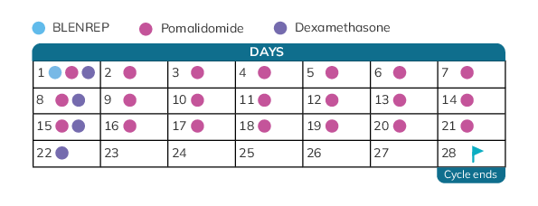 BPd Dosing Schedule