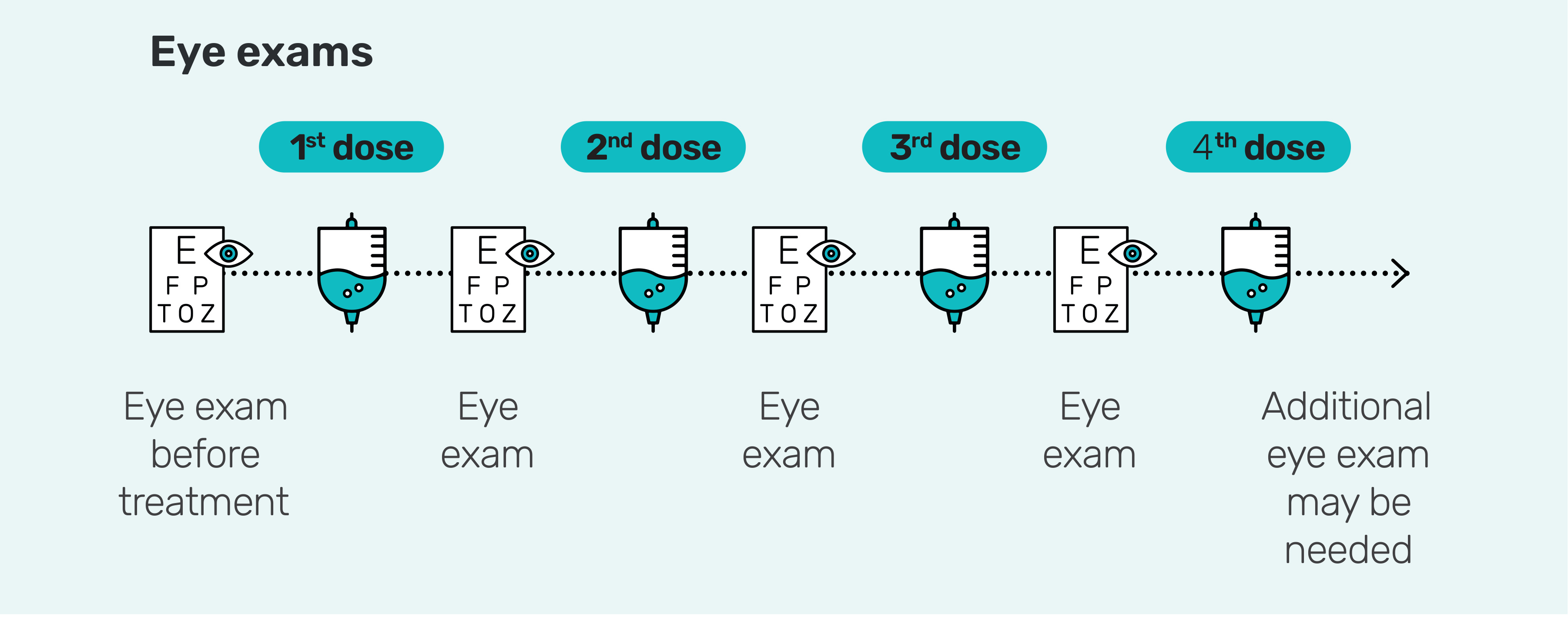 Eye Exam Schedules