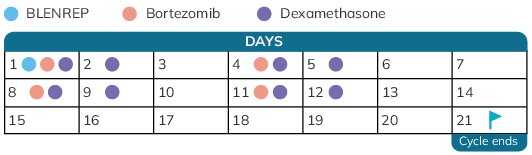BVd treatment cycle