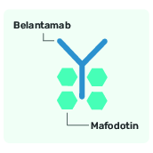 belantamab mafodotin icon